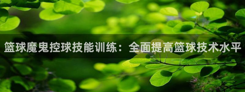 篮球魔鬼控球技能训练：全面提高篮球技术水平