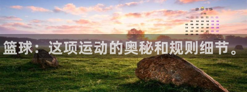 篮球：这项运动的奥秘和规则细节。