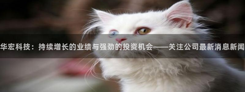 华宏科技：持续增长的业绩与强劲的投资机会——关注公司最新消息新闻