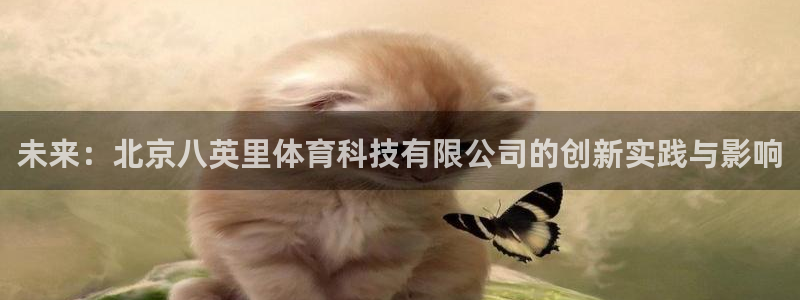 未来：北京八英里体育科技有限公司的创新实践与影响